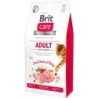 BRIT Care Cat Grain-Free Adult Activity Support 400g