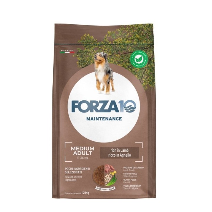 FORZA10 Medium Adult Maintenance Lamb Rice for medium breed dogs 12 kg