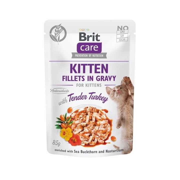 BRIT Care Fillets in gravy with tender turkey 24 x 85 g Truthahn in Sauce