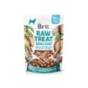 BRIT Raw Treat Freeze Dried Skin Coat 40 g
