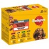 Pedigree Senior Frischebeutel Multipack in Gelee - Sparpaket: Gemischte Selektion in Gelee (4 Varietäten) 24 x 100 g