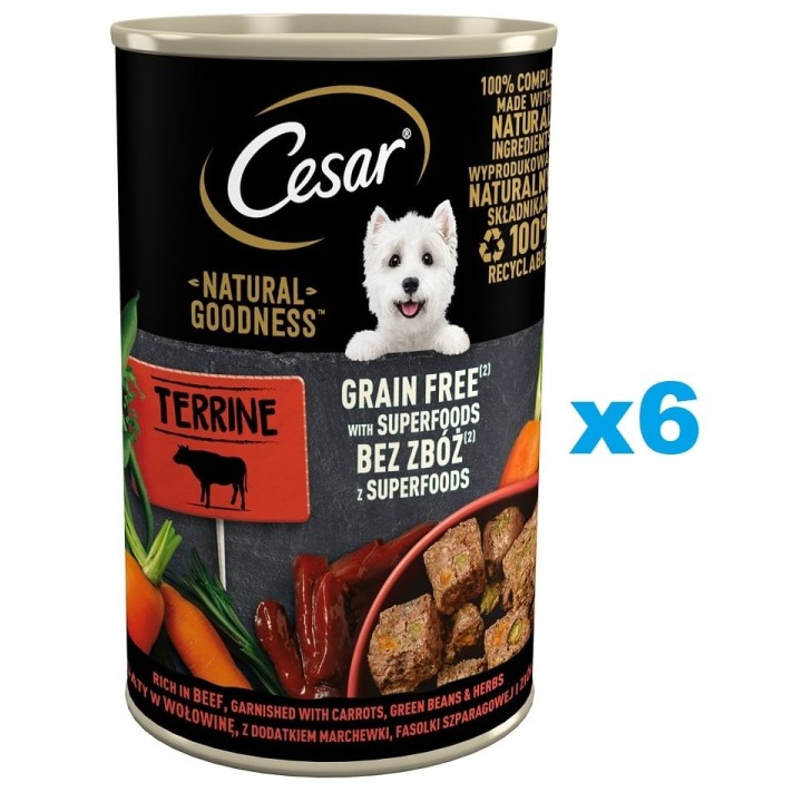 CESAR Natural Goodness Terrine 6x400 g reich an Rindfleisch mit Karotten, grünen Bohnen und Kräutern