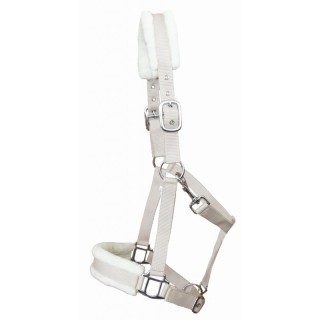 Gepolstertes Halfter T de T