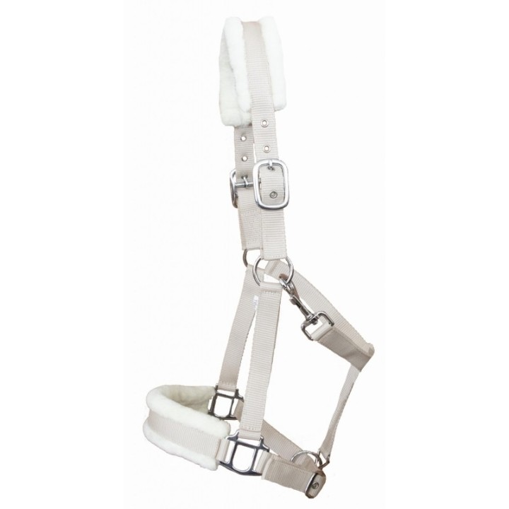 Gepolstertes Halfter T de T