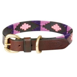 Hundehalsband aus Leder Weatherbeeta Polo
