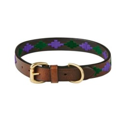 Hundehalsband aus Leder Weatherbeeta Polo