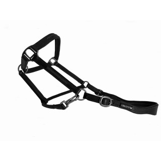 Lederhalfter mit "crystal"-Einsatz für Pferde Cavaletti Tara