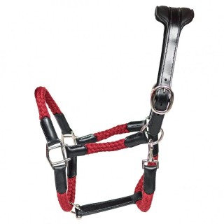 Lederhalfter und Seil für Pferde Cavaletti Tara