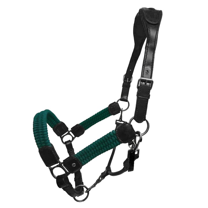 Halfter Silver Crown