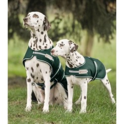 Regenmantel für Hunde Waldhausen