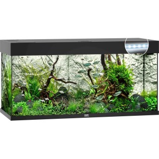Juwel Rio 180 LED Aquarium - schwarz