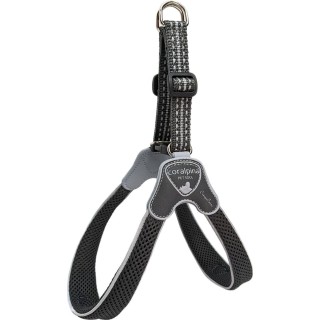 Coralpina Geschirr Cinquetorri Schwarzgrau - 1