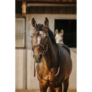 Trense Eric Thomas Work