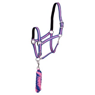 Set aus Halfter und Longiergurt für Pferde Premiere Equitation Stitch