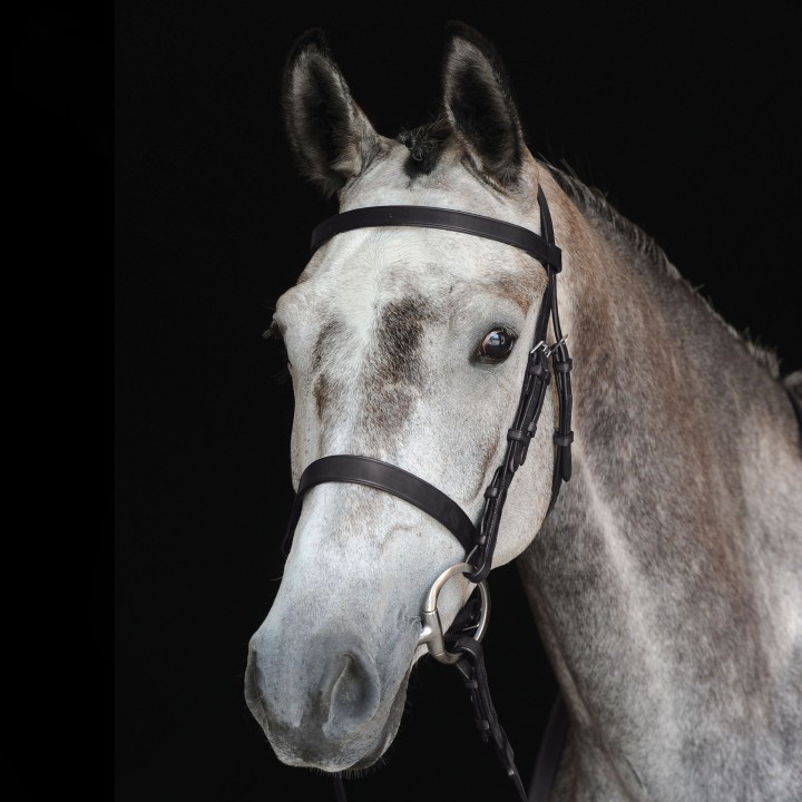Zaumzeug Jagdreiten cavesson Weatherbeeta Collegiate IV