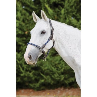 Lederhalfter für Pferde Kincade
