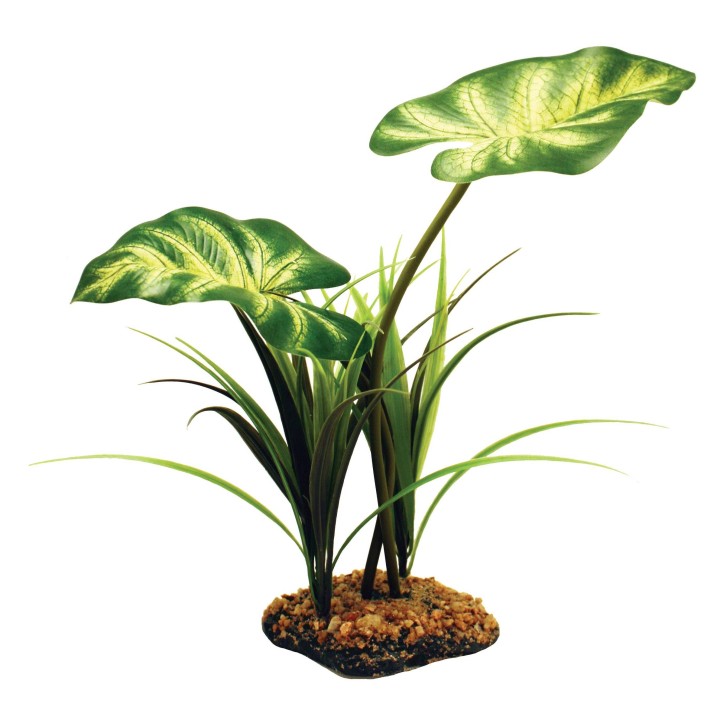 Aquariumdekoration Komodo Broadleaf Canopy