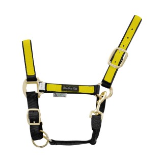 Bunt nylon Halfter für Pferde Umbria Equitazione