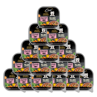 CESAR Schale 16x100 g: Nassfutter in Sauce mit Lachs, angereichert mit Fischöl, Spinat und Karotten