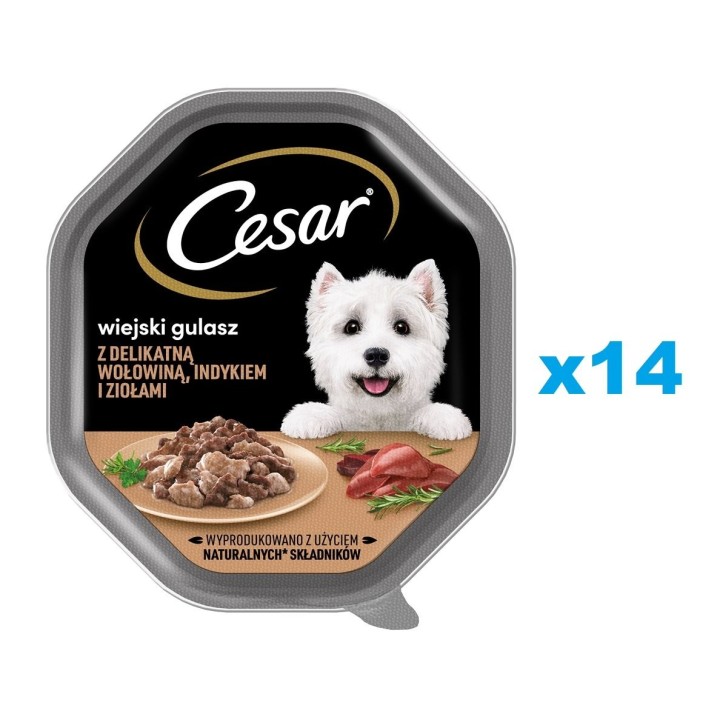 CESAR Schale 14x150 g Nassvollnahrung in Sauce für ausgewachsene Hunde mit zartem Putenfleisch und Kräutern
