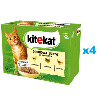 KITEKAT 48x85 g Vollwertiges Nassfutter in Gelee für ausgewachsene Katzen mit Huhn, Pute und Geflügel.