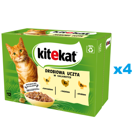 KITEKAT 48x85 g Vollwertiges Nassfutter in Gelee für ausgewachsene Katzen mit Huhn, Pute und Geflügel.