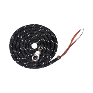 Longe zum Vorzeigen Waldhausen Western