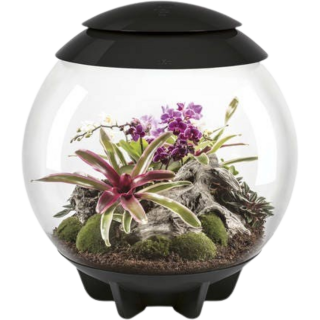 biOrb AIR 60 - schwarz