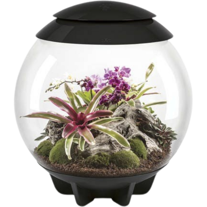 biOrb AIR 60 - schwarz