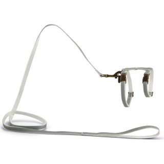 Designed by Lotte Nyl Katzengeschirr Virante - Mint