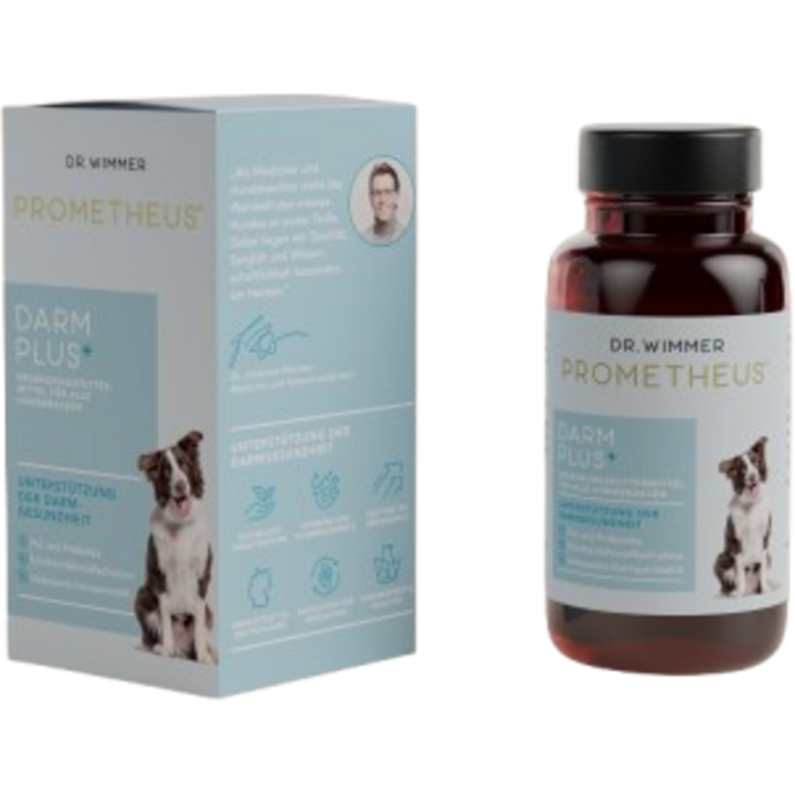 PROMETHEUS® by Dr. Wimmer Darm Plus Pulver - 30 g