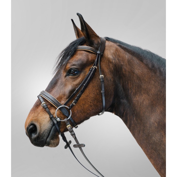 Kombinierte Nasenriemenreithalfter Star Diamond