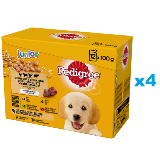 PEDIGREE Junior Mix Beutel 48x100g: Nassfutter für Welpen mit Reis, Huhn, Lamm, Geflügel und Rindfleisch in Gelee