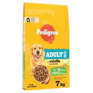 Pedigree Trockenfutter zum Sonderpreis! - 7 kg Adult Geflügel & Gemüse
