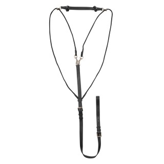 Gogue für Pferde Supreme