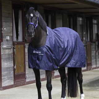 Stalldecke für Pferde Bucas 0g