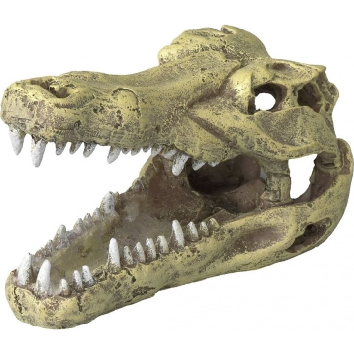 Europet Krokodil Kopf - S
