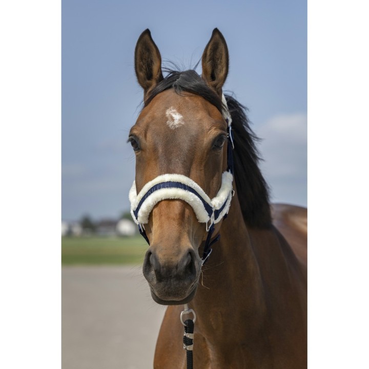Pferdehalfter aus Schafsnylon Equithème