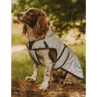 Peitschenstiele Dublin Edward Goddard