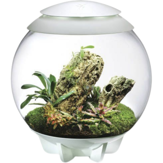 biOrb AIR 60 - weiß