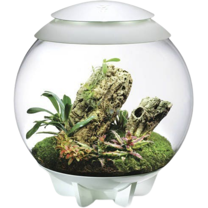 biOrb AIR 60 - weiß