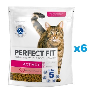 PERFECT FIT (Active 1+) 6x750g Reich an Rindfleisch – Trockenfutter für Katzen