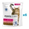 PERFECT FIT (Active 1+) 6x750g Reich an Rindfleisch – Trockenfutter für Katzen