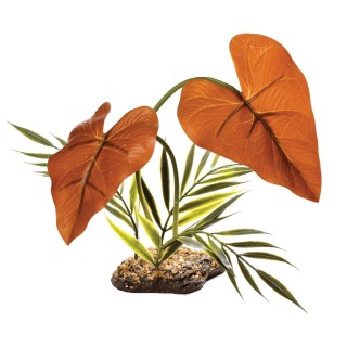 Unterschlupf für Reptilien Komodo Rain Forest Canopy