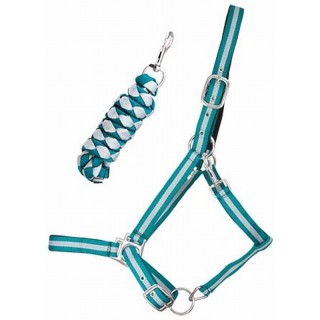 Doppeltes Pferdehalfter + Longe T de T