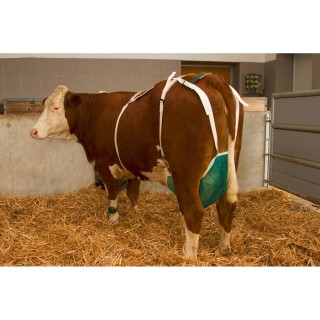 Schutzgitter für Zitzen Kerbl