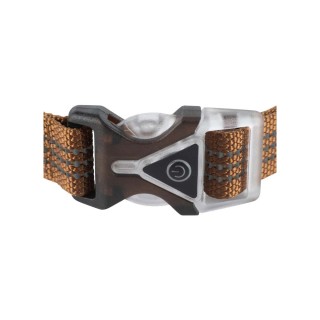 Carhartt Lighted Dog Collar - Braun - M