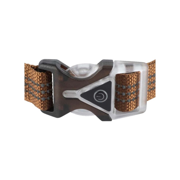 Carhartt Lighted Dog Collar - Braun - M