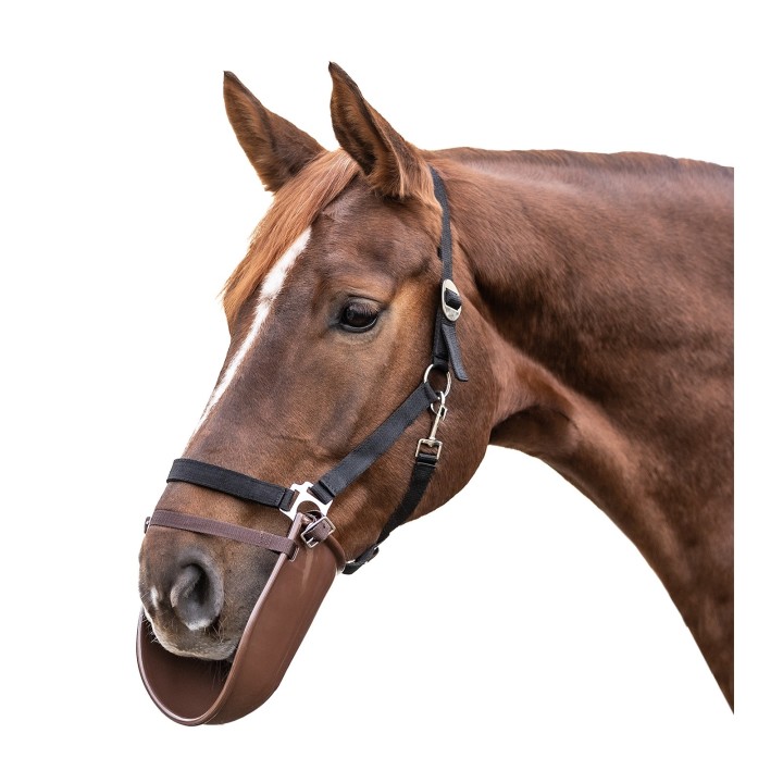 Lätzchen Reiten aus Kunststoff Waldhausen