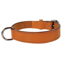 Gefüttertes Hundehalsband aus echtem Leder Zolux